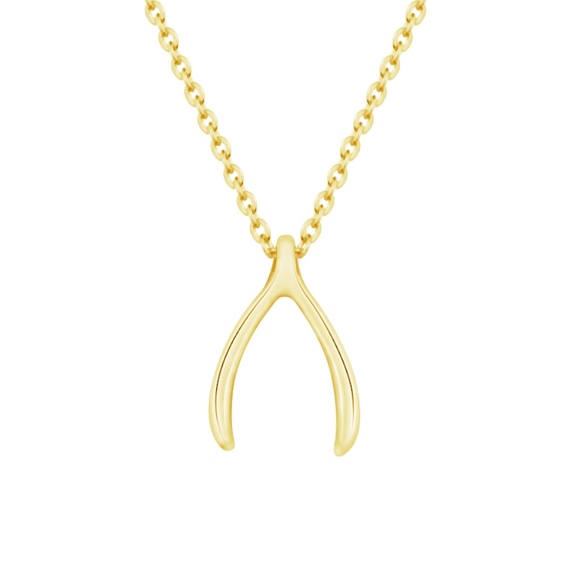 Wishbone Necklace Dainty Delicate Pendant Necklace - Picture 1 of 6